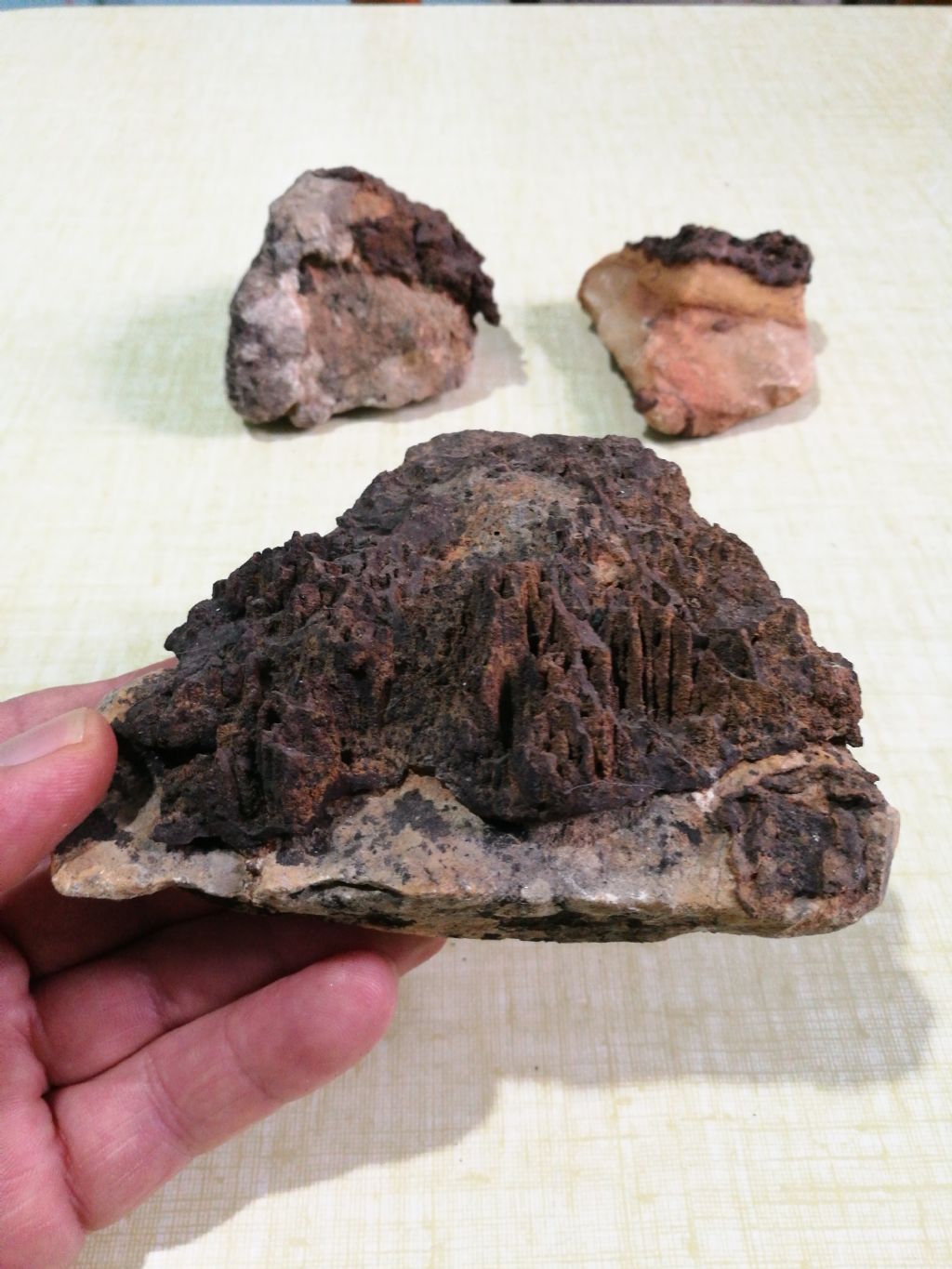 Identificazione reperti geologici